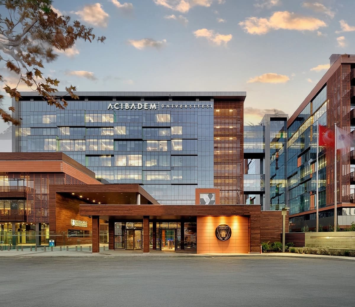 Acıbadem Healthcare Group — Advanced Limb Reconstruction